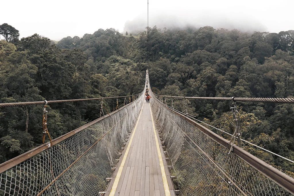 Rengganis Bridge, Indonesia