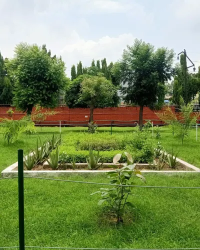 Care for Environment